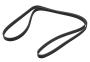 View Serpentine Belt Full-Sized Product Image